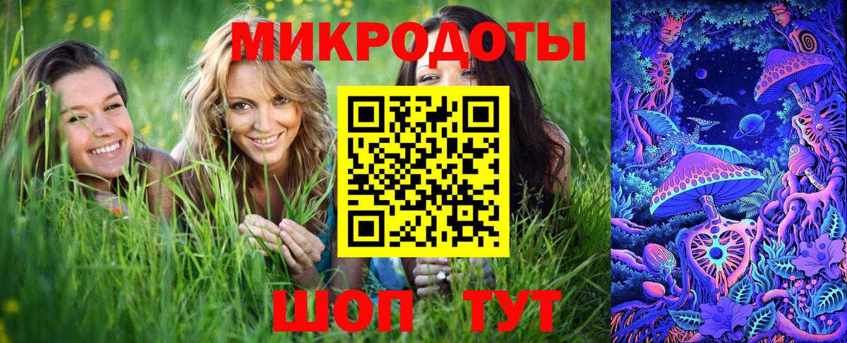 Псилоцибиновые грибы мухоморы Касимов
