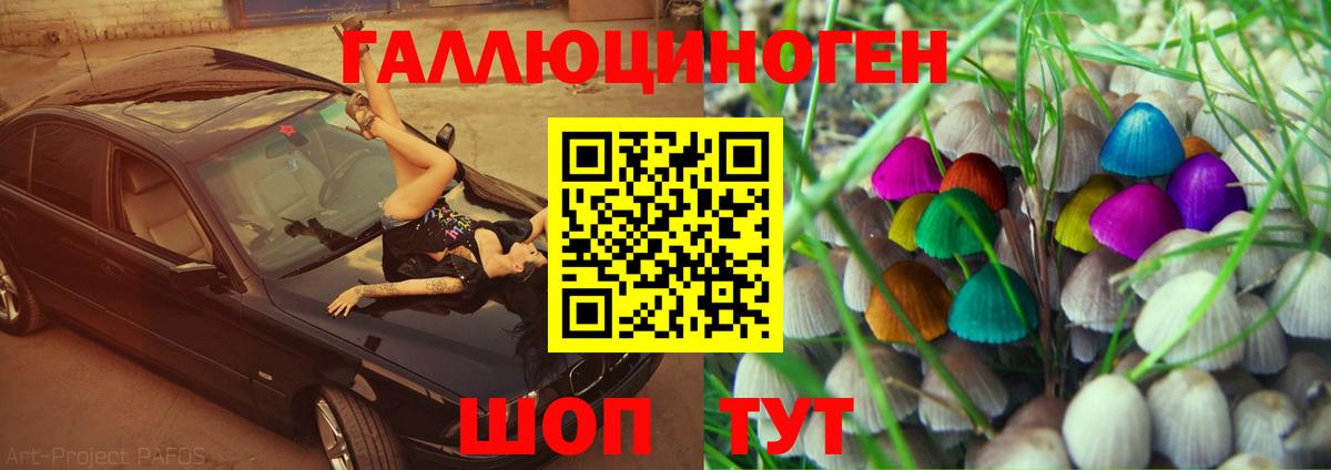 Касимов  Галлюциногенные грибы GOLDEN TEACHER  Вход с VPN 
